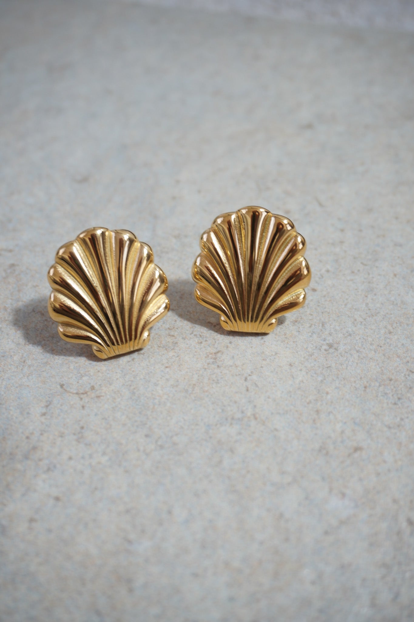 Gold Shell Stud Earrings