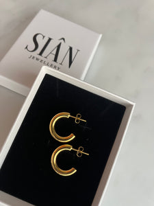 Medium Gold hoop earring gift set